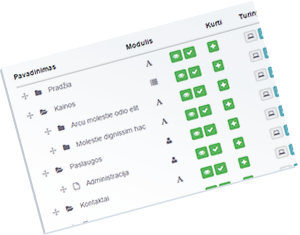 interneto svetainės strukturos valdymas